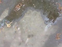 Grueso chica rusa hermosa pisses en un